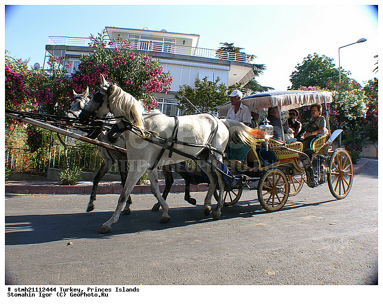 ������, ����