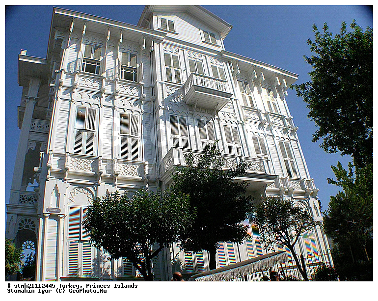 ������, ����