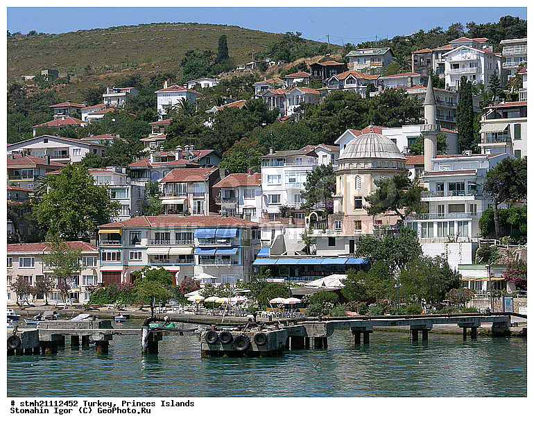 ������, ����