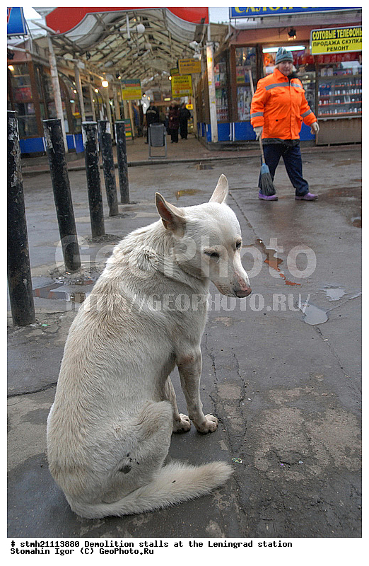 ���� �������, ������������� ������, �������� �������