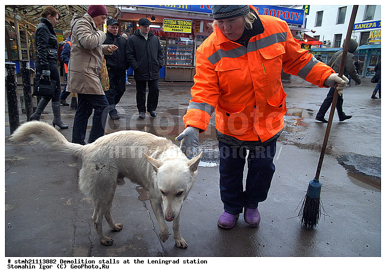 ���� �������, ������������� ������, �������� �������