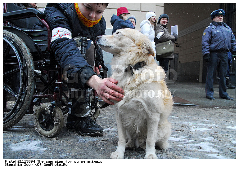 �����, ��������� ��������, �������