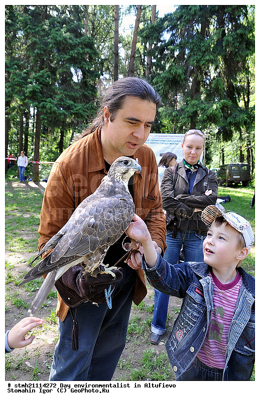 ���� �������, ���������, ��������