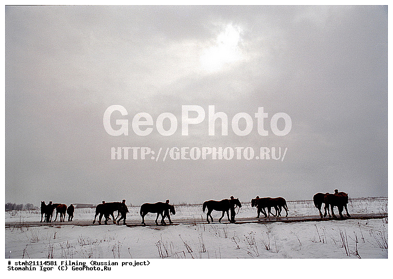 ������, ������� ������