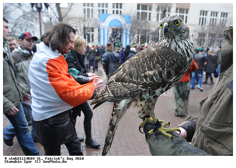 ���� ������� �������, �������� 