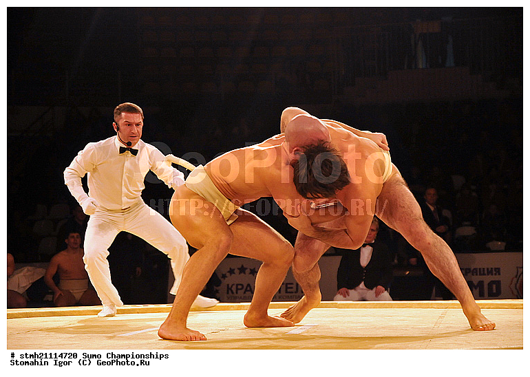 ���������, ����, ������