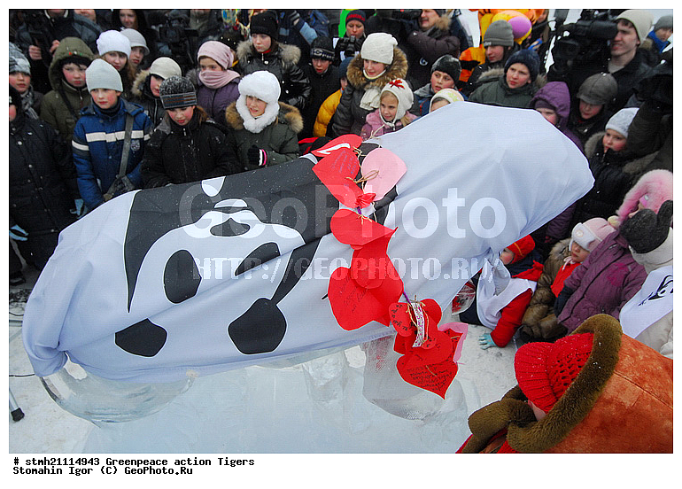 �����, �������, ����