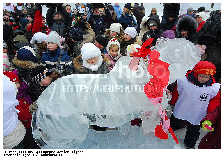 �����, �������, ����