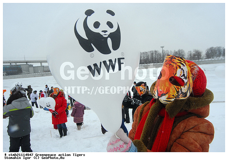 �����, �������, ����