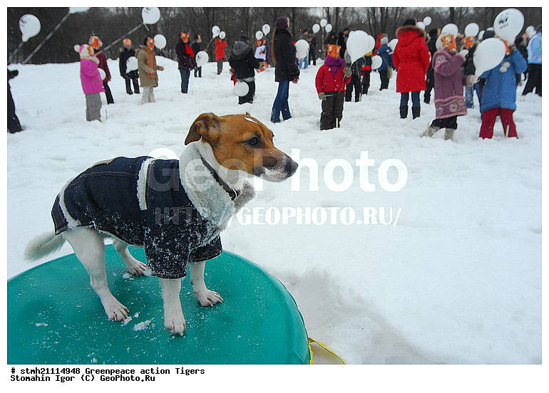 �����, �������, ����