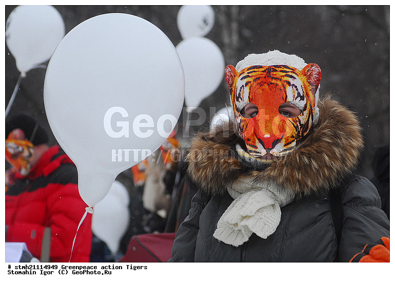 �����, �������, ����