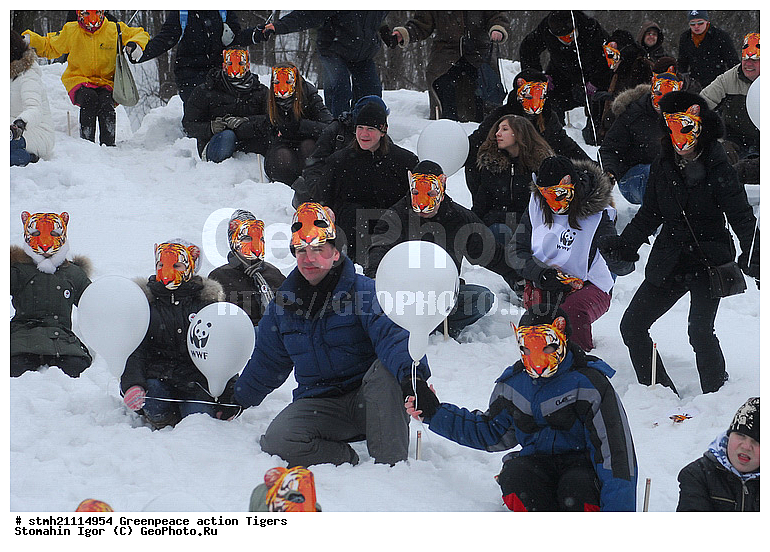 �����, �������, ����