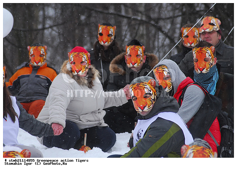 �����, �������, ����