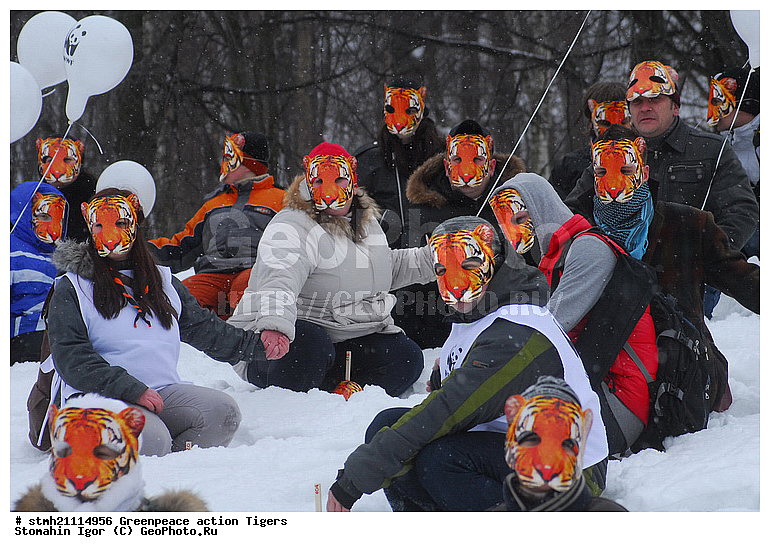 �����, �������, ����