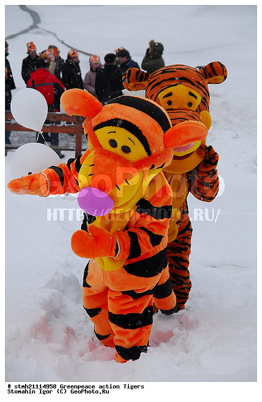 �����, �������, ����