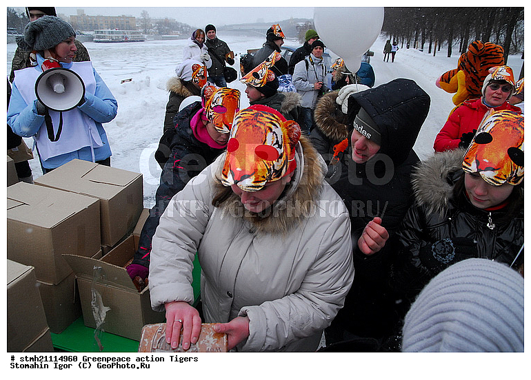 �����, �������, ����