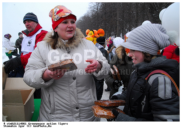 �����, �������, ����