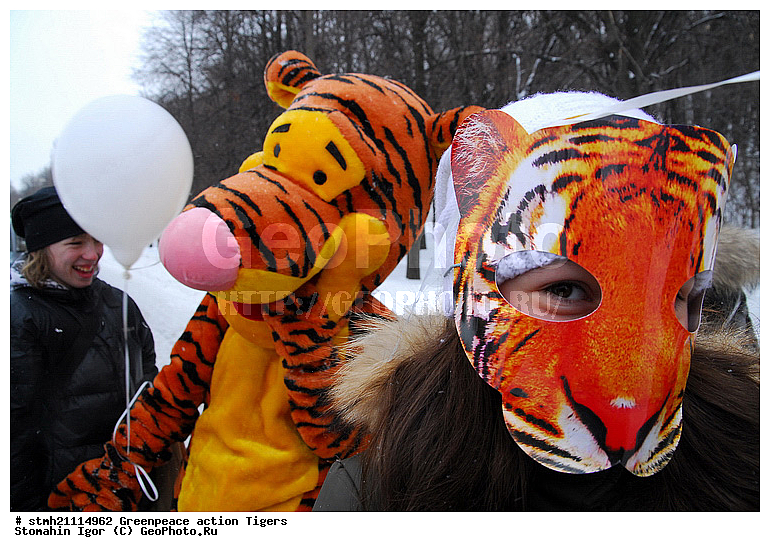 �����, �������, ����