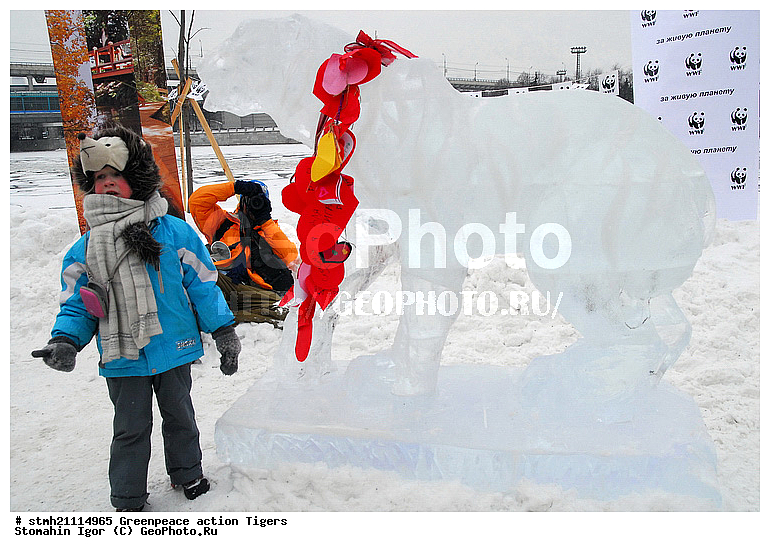 �����, �������, ����