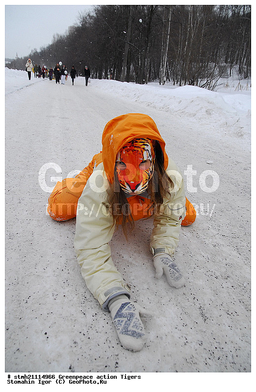 �����, �������, ����