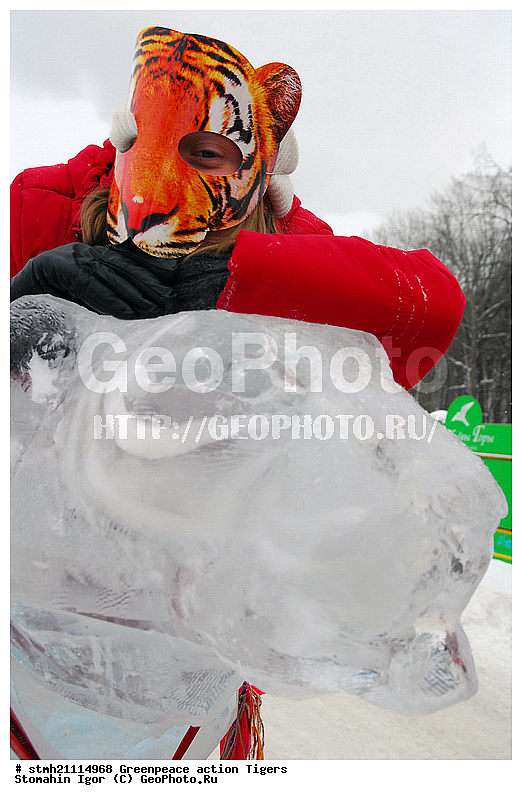 �����, �������, ����