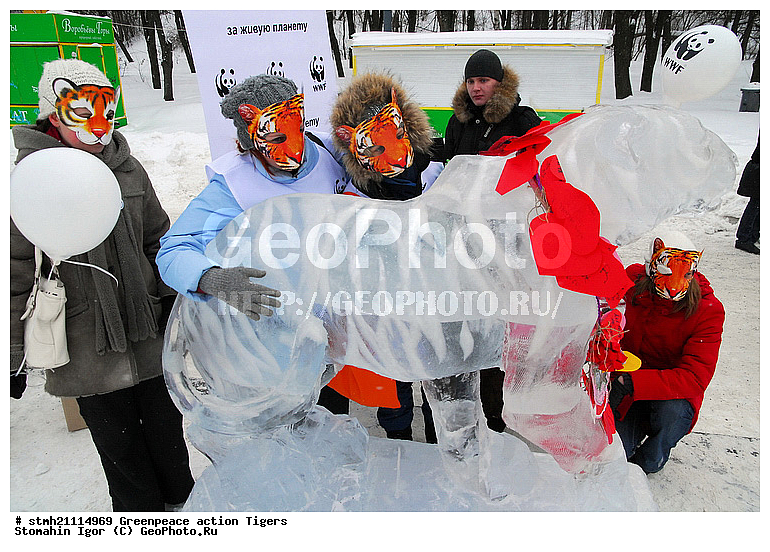 �����, �������, ����