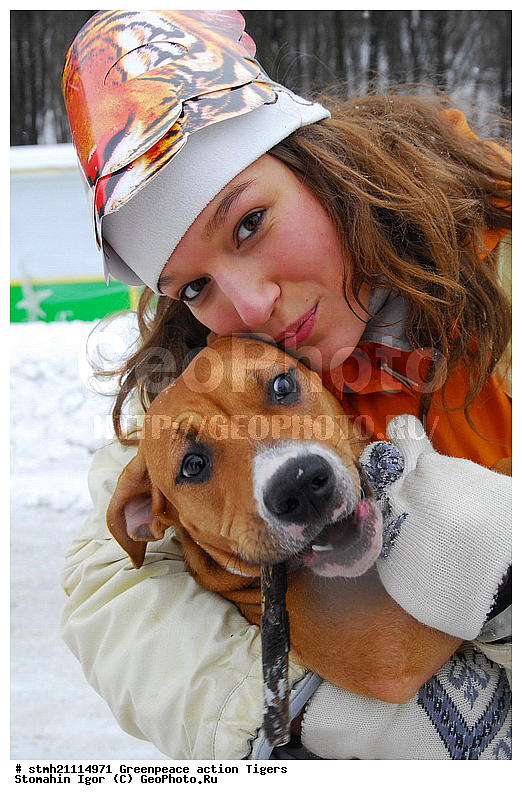 �����, �������, ����