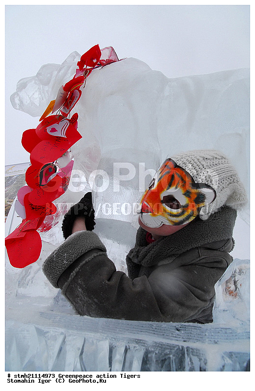 �����, �������, ����