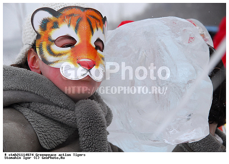 �����, �������, ����