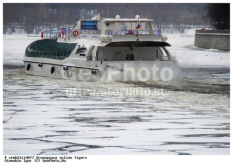 �����, �������, ����