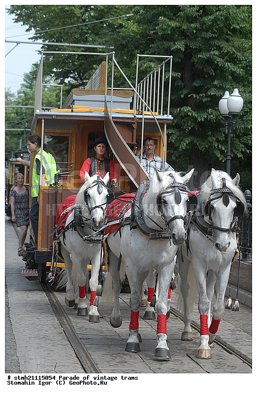 �����, ����� �������