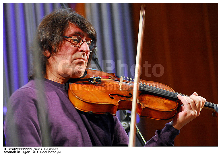 ���� ������, �������, �������