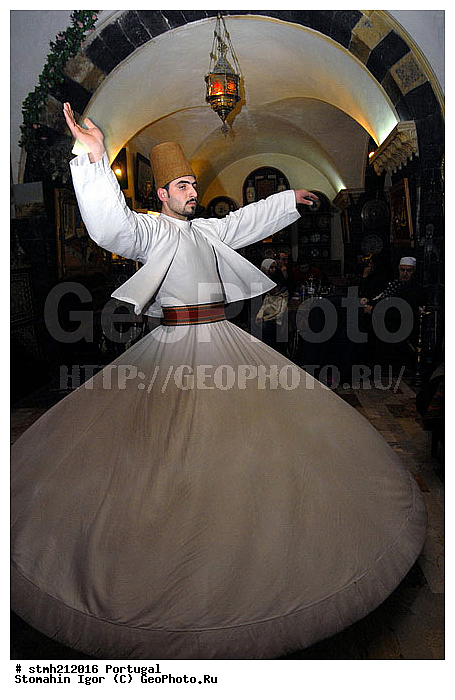 �����, ����������, ��������, �����, ����������, �������, �����