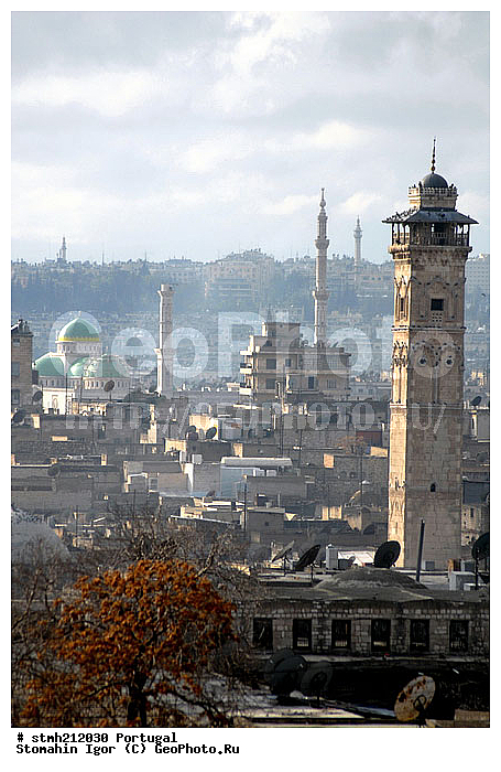 ���, �����, ������, �����