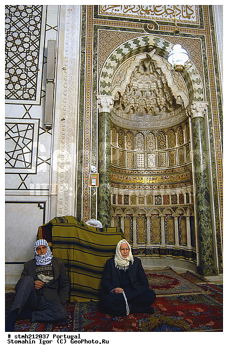 ������, ��������, �����