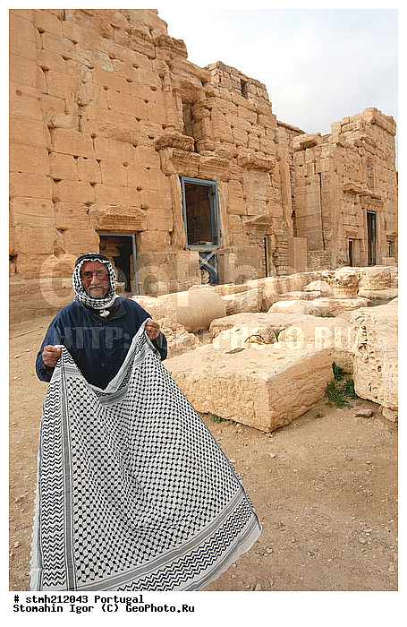 ��������, ���������, �������������, ��������, ��������������, �����