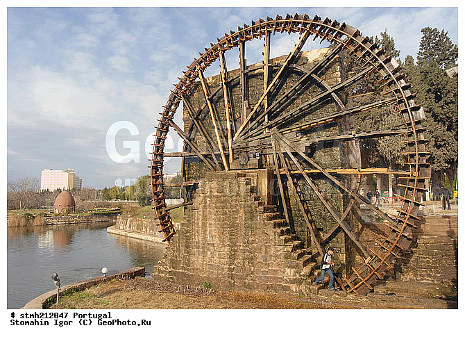 ���������, �����������, ������, ����, �����