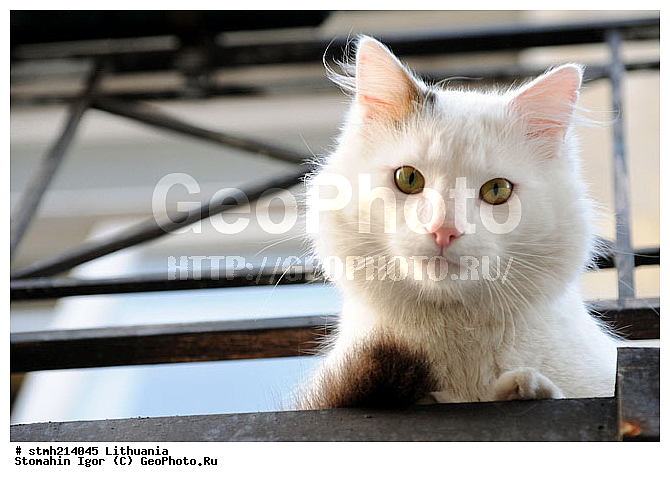 �����, �������, ������:, �����, �������, �����, �������