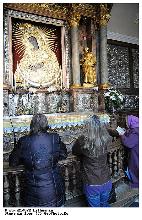 �����, �������, ������:, �������������, �������, �������������, �������