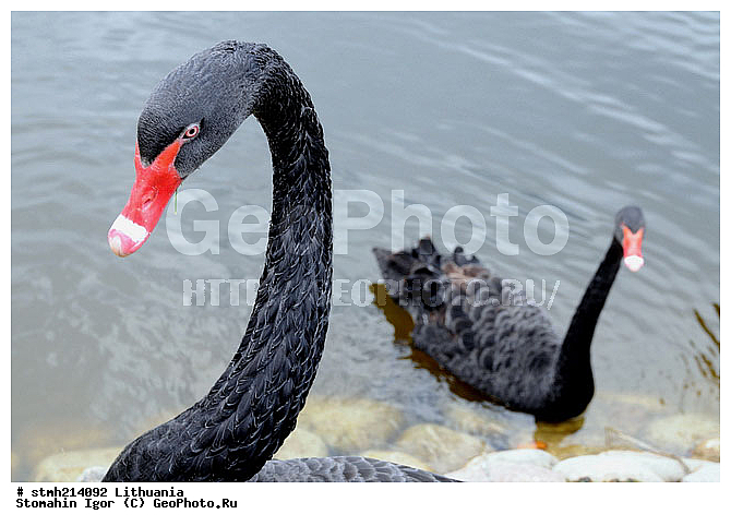 "�����, �������, ������:, ������, ������, �����, ""����������"", ������, ������, �����, ""����������"""