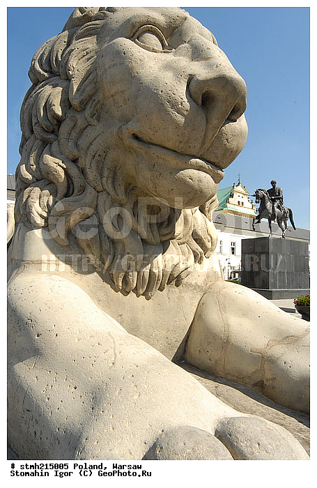 ��������, ���, �����, �������������, ������, �����, ���������, ����������, �������, �������