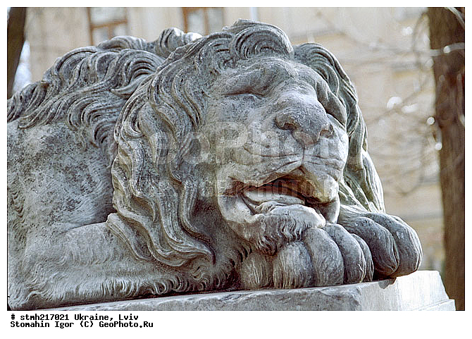 �����, ������, ���, �����, ���������, �����