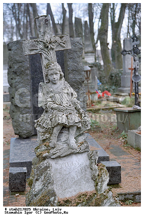 �����, �����������, ��������