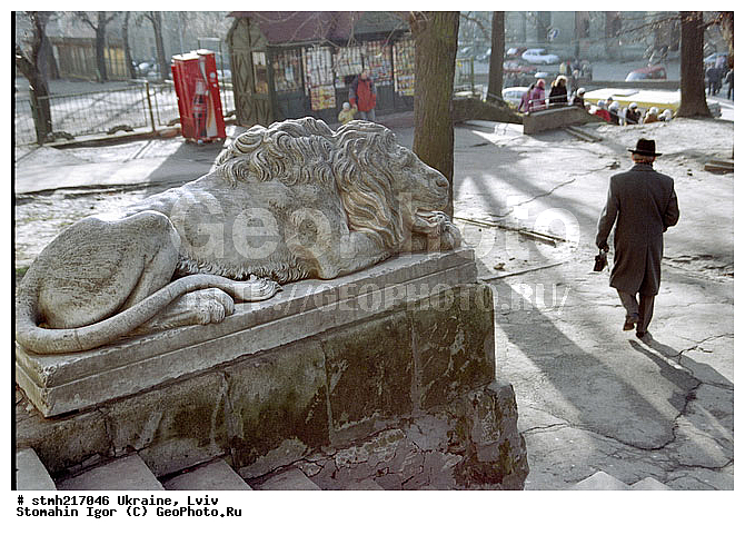 �����, �������, ���, �����, ���������, �����