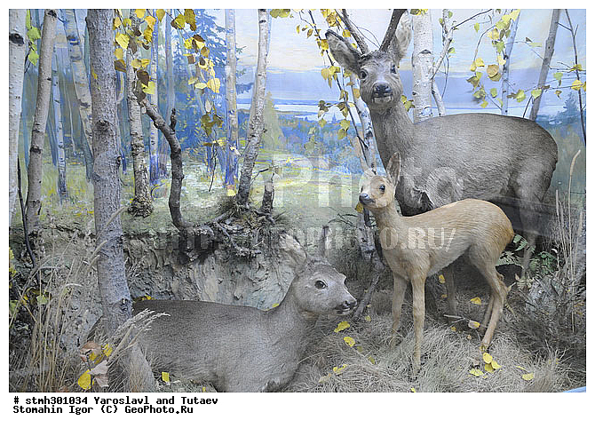 ���������, �����������, ���������������, ��������, �������������, �, ��������������, �����, ����������, ����������, �����������, ������������, ������, 