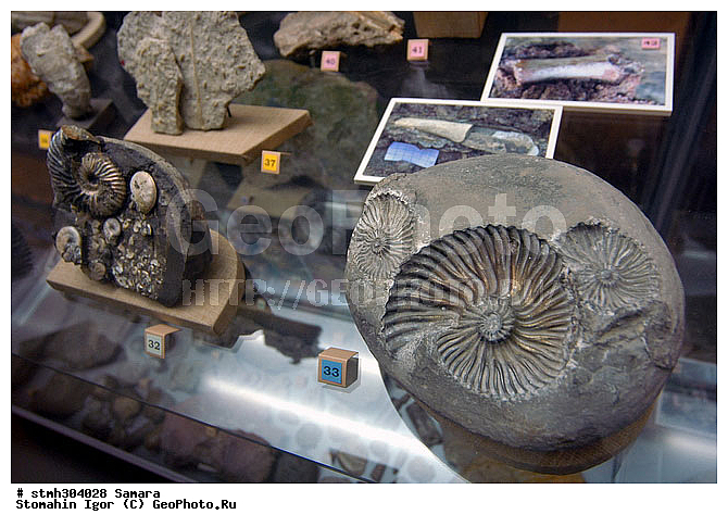 , �����, ������, ��������, �����������, �������, ���������, ���������, ��������, �������������, �����