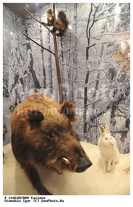 ���������, �������,  �������, ������, ��������, �������������, �����