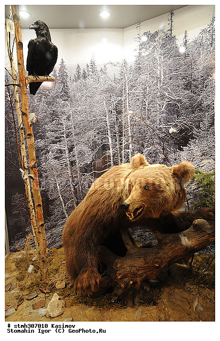 ���������, �������,  �������, ������, ��������, �������������, �����