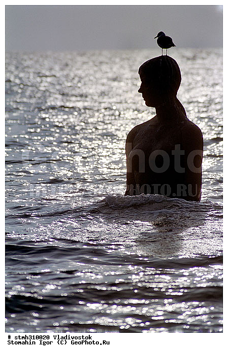 �����������, ������, ����, �����, ����������, ����������, ������������