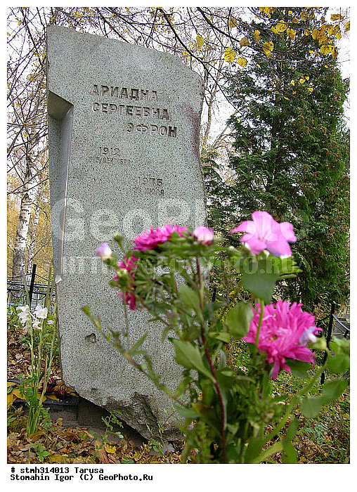 , ���������, �������,  ������, ������, �������, �����